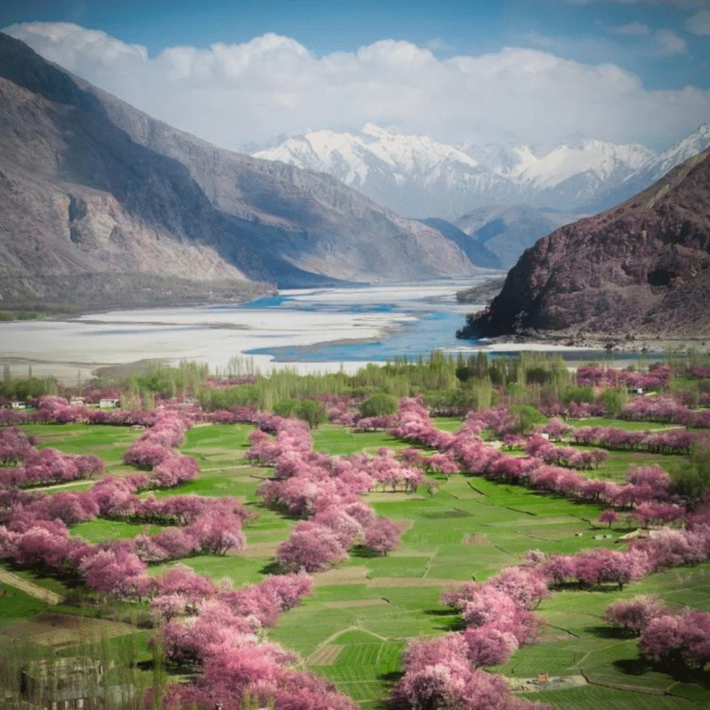 Spring in Pakistan: Chasing Blossoms and Heritage